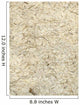 Rough Beige Texture Wall Mural