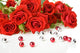 Red Roses and Beads