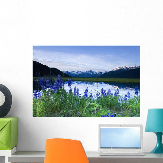 Lupine Blooms along Pond Wall Decal