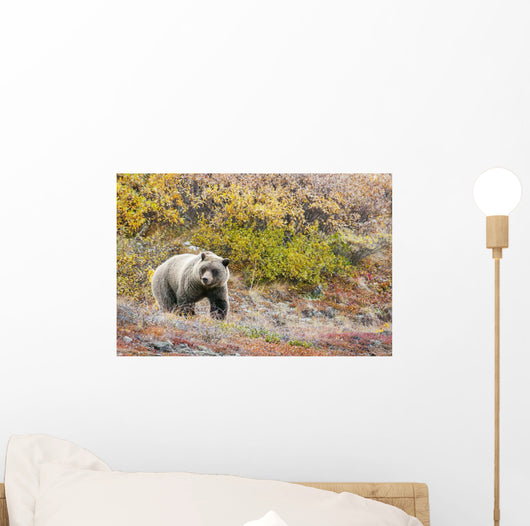 Brown Bear Walks Along Wall Mural