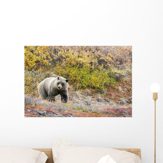 Brown Bear Walks Along Wall Mural