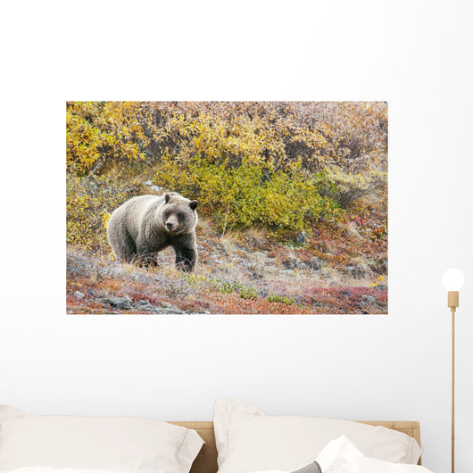 Brown Bear Walks Along Wall Mural