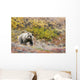 Brown Bear Walks Along Wall Mural