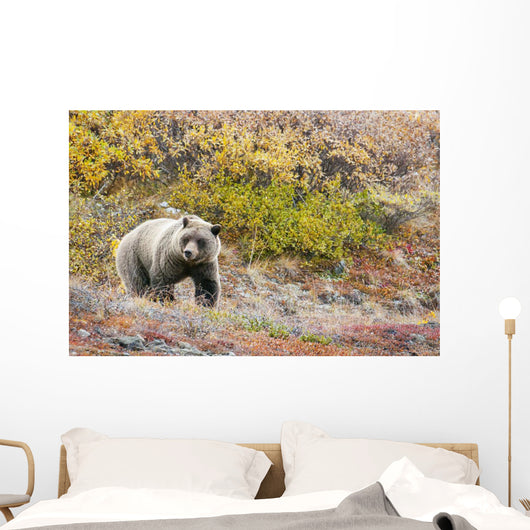 Brown Bear Walks Along Wall Mural