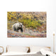 Brown Bear Walks Along Wall Mural