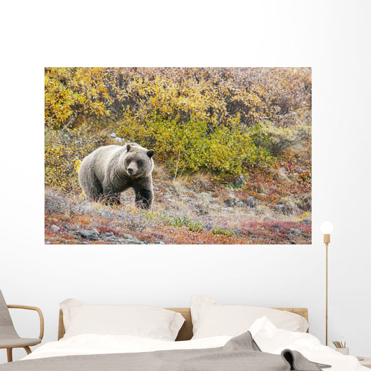 Brown Bear Walks Along Wall Mural