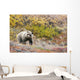 Brown Bear Walks Along Wall Mural
