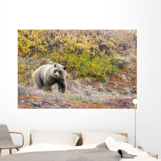 Brown Bear Walks Along Wall Mural
