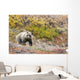 Brown Bear Walks Along Wall Mural