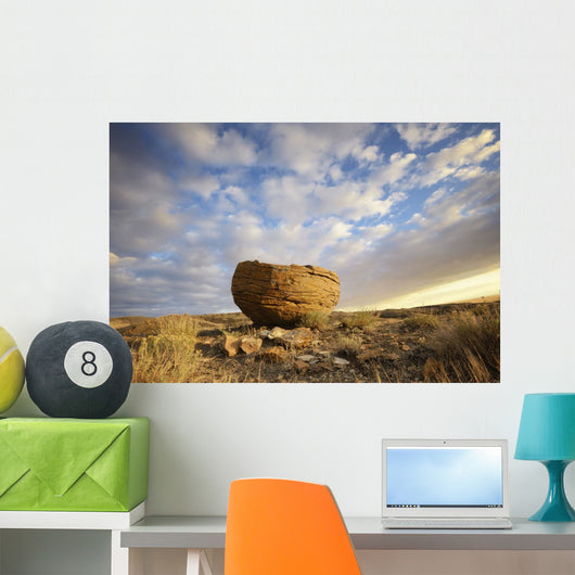Red rock coulee in cypress hills provincial park;Alberta canada Wall Mural