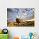 Red rock coulee in cypress hills provincial park;Alberta canada Wall Mural
