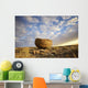 Red rock coulee in cypress hills provincial park;Alberta canada Wall Mural
