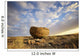 Red rock coulee in cypress hills provincial park;Alberta canada Wall Mural