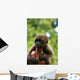 Monkey and Fingers Wall Mural