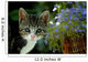 Small Kitten With Flowers Wall Mural