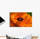 Great Orange - Poppy Wall Mural