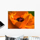 Great Orange - Poppy Wall Mural