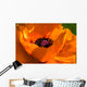 Great Orange - Poppy Wall Mural