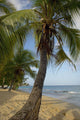 Caribbean, Magazine Beach Wall Mural