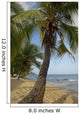 Caribbean, Magazine Beach Wall Mural