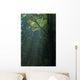 Sun Rays Shine through Wall Decal