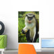 Caribbean, Mona Monkey at Grand Etang National Park Wall Mural