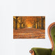 Avenue in autumn Wall Mural