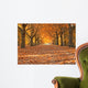 Avenue in autumn Wall Mural