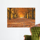 Avenue in autumn Wall Mural