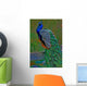 it's peacock Wall Mural