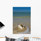 USA, Florida, Florida Keys, Conch shell on sandy beach Wall Mural