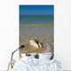 USA, Florida, Florida Keys, Conch shell on sandy beach Wall Mural