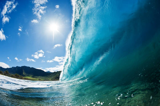 Wave in Paradise Wall Mural