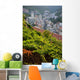 Vineyards In Riomaggiore, Cinque Terra, Liguria, Italy Wall Mural