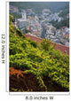 Vineyards In Riomaggiore, Cinque Terra, Liguria, Italy Wall Mural