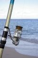 Fishing rod Wall Mural