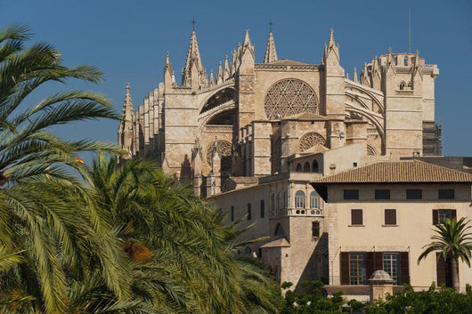 Spain, Majorca, Palm trees in Parc de la Mar leading to Cathedral Wall Mural