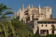 Spain, Majorca, Palm trees in Parc de la Mar leading to Cathedral Wall Mural