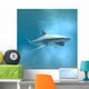 Tiger Shark Swimming Underwater Wall Mural