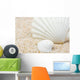 Sea Shells Beach Wall Mural