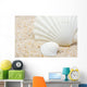 Sea Shells Beach Wall Mural