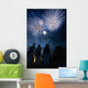 People watching fireworks at Nevill Junior Bonfire night Wall Mural
