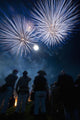 People watching fireworks at Nevill Junior Bonfire night Wall Mural