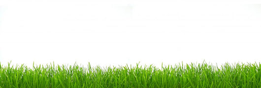 Panorama Grass Wall Decal