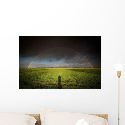Rainbow Wall Decal Design 3