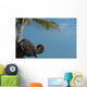 Sri Lanka, near Unawatuna, Elephant and palm tree Wall Mural