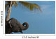 Sri Lanka, near Unawatuna, Elephant and palm tree Wall Mural