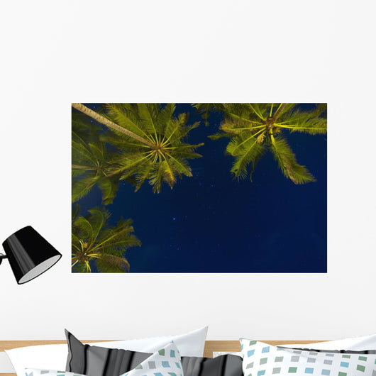 Sri Lanka, near Unawatuna, Stars at night with palm tree Wall Mural