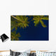 Sri Lanka, near Unawatuna, Stars at night with palm tree Wall Mural