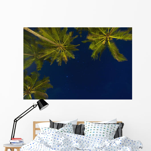 Sri Lanka, near Unawatuna, Stars at night with palm tree Wall Mural